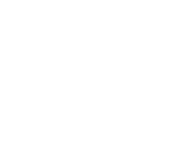 LED EV